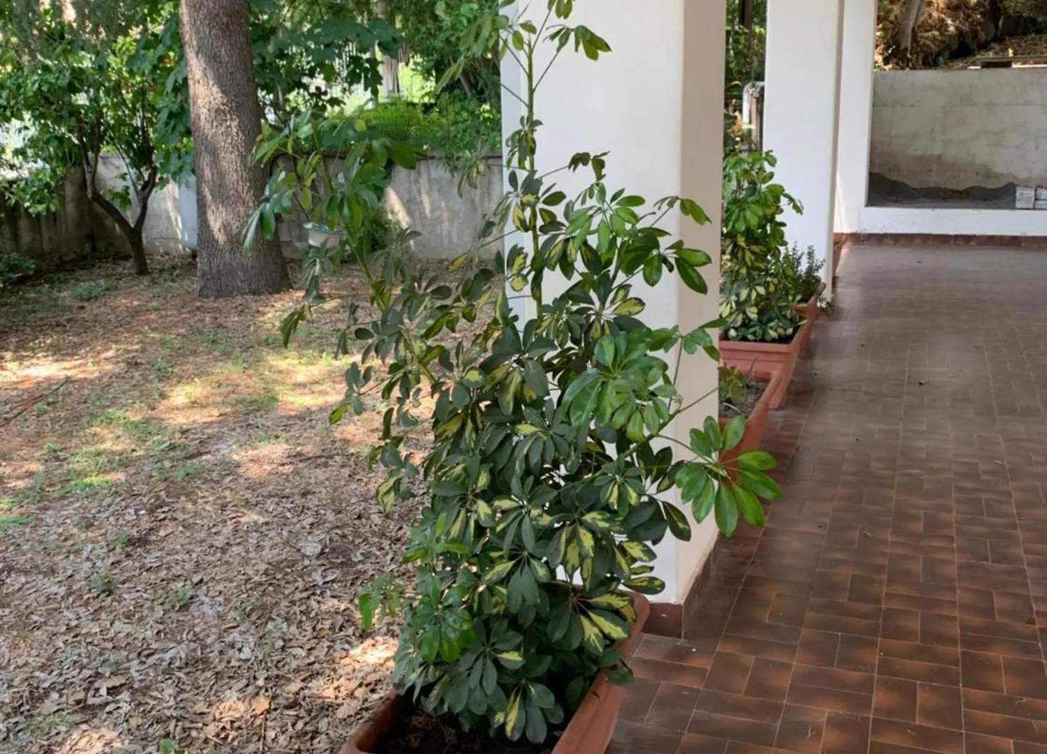 La Villa Di Flora Singola Monterosso Etneo Fleri
