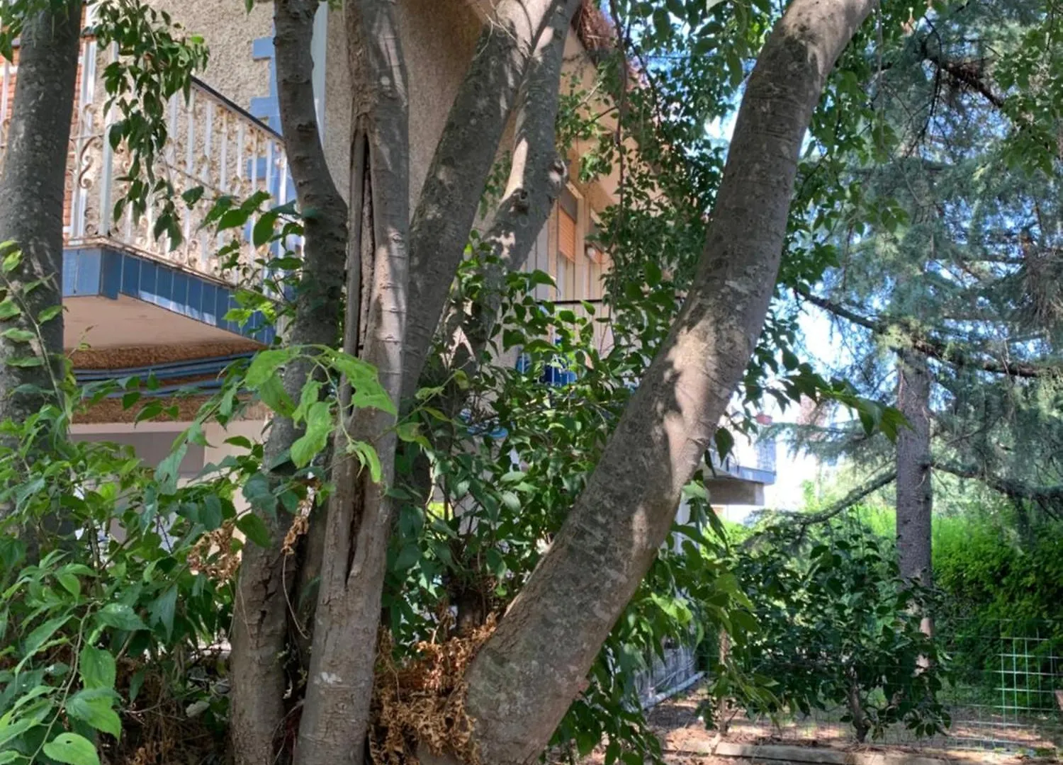 La Villa Di Flora Singola Monterosso Etneo Fleri Italië